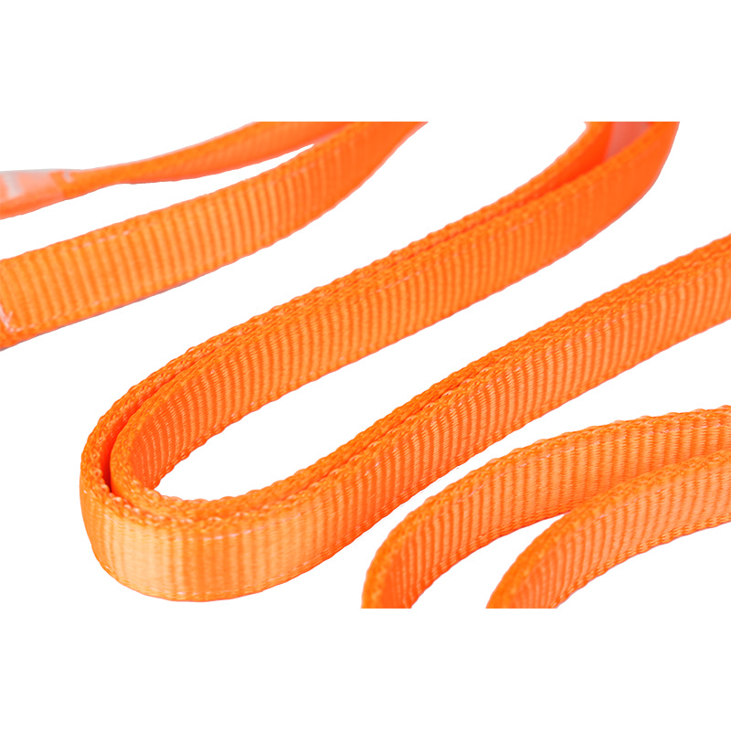 Longe de sécurité double antichute L19 avec sangle épaisse et crochets ANSI