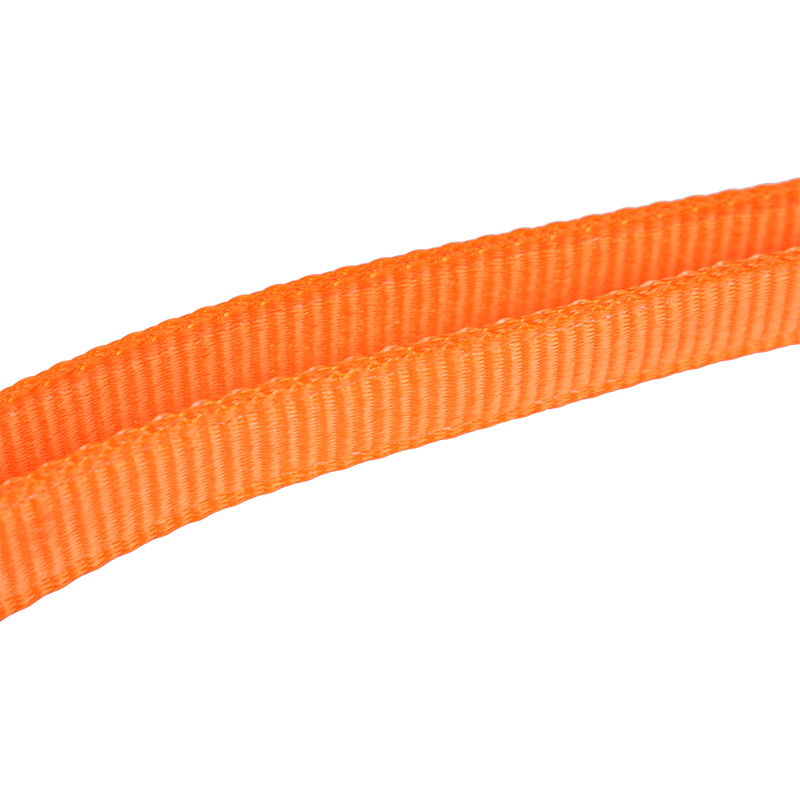 Longe de sécurité double antichute L19 avec sangle épaisse et crochets ANSI